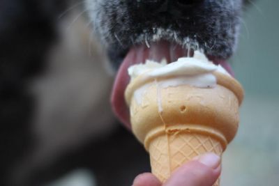 Fatboyz Ice Cream &amp; Sweet Treats Outer Banks photo