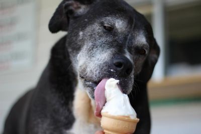 Fatboyz Ice Cream &amp; Sweet Treats Outer Banks photo