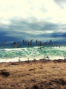 Beach Realty photo