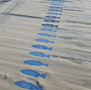 Jennette&#039;s Pier photo