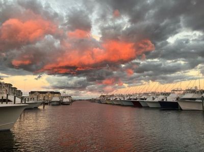 Pirate&#039;s Cove Marina photo