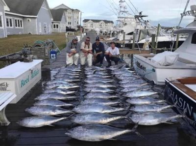 Pirate&#039;s Cove Marina photo