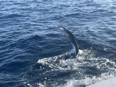 Fishing Unlimited Outer Banks Boat Rentals photo