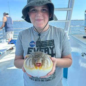 Crystal Dawn Head Boat Fishing and Evening Cruise photo