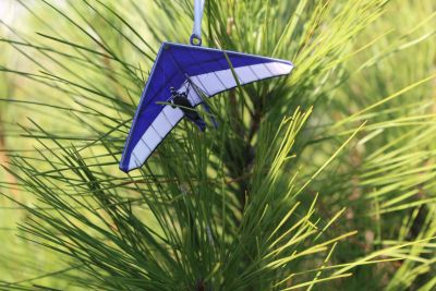 Kitty Hawk Kites photo
