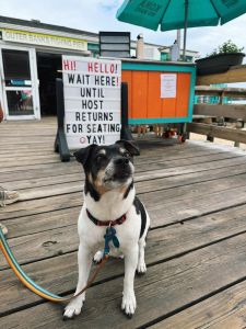 Fish Heads Bar &amp; Grill photo