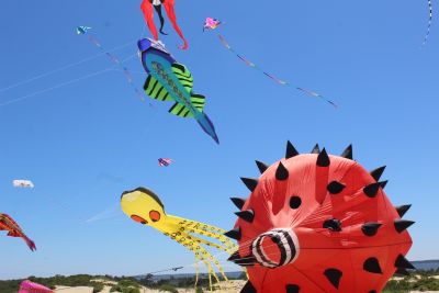 Kitty Hawk Kites photo