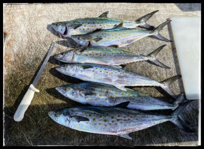 Jennette&#039;s Pier photo