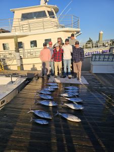 Pirate's Cove Marina photo