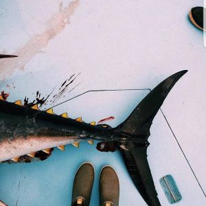 Oceans East Bait &amp; Tackle Nags Head photo