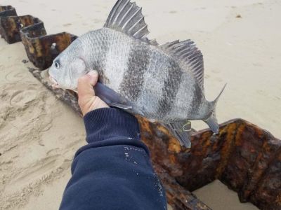 Oceans East Bait &amp; Tackle Nags Head photo