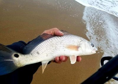 Oceans East Bait &amp; Tackle Nags Head photo