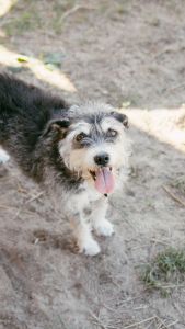 Foxy Flamingo Boutique photo