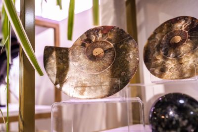 Traveler's Moon photo