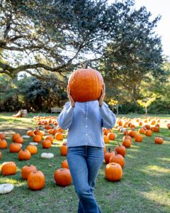 Foxy Flamingo Boutique photo