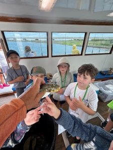 Miss Oregon Inlet II Head Boat Fishing photo