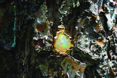 Jewelry By Gail photo