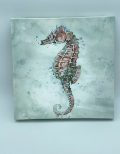The Salty Seahorse photo