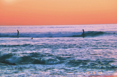 Surfrider Foundation Outer Banks photo