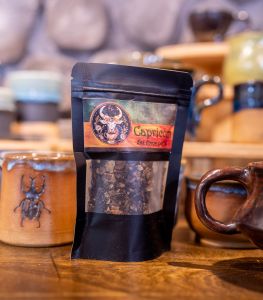 Traveler's Moon photo