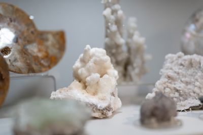 Traveler's Moon photo