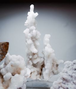 Traveler's Moon photo