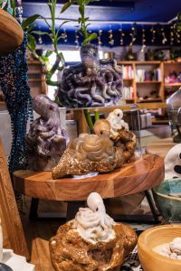 Traveler's Moon photo