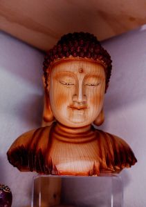 Traveler's Moon photo