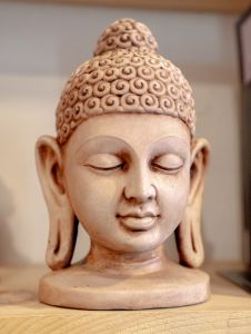 Traveler's Moon photo