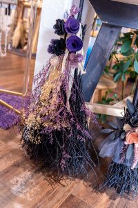 Traveler's Moon photo