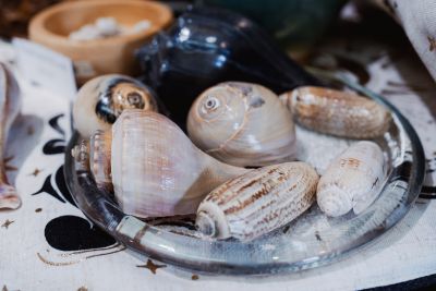 Traveler's Moon photo