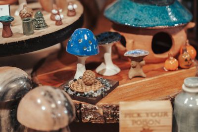 Traveler's Moon photo