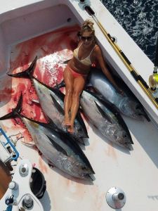 Oceans East Bait &amp; Tackle Nags Head photo