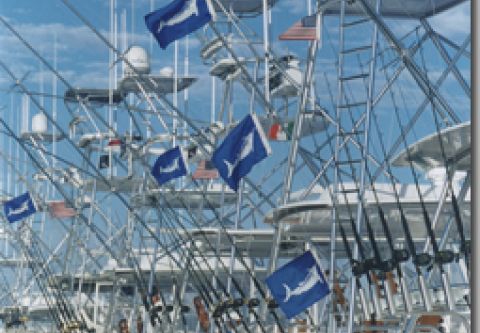 Pirate's Cove Marina, Book a Charter Fishing Trip