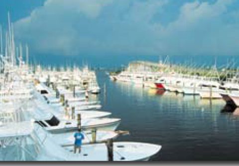 Pirate's Cove Marina, Stock Up on Provisions