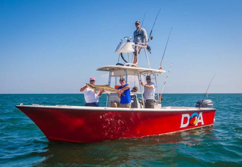 Oregon Inlet Fishing Center, Inshore Charter Fishing Trips