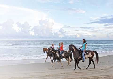 Kitty Hawk Kites, Hatteras Beach Horseback Riding Tours