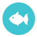 Fishing Reports | TW's Bait & Tackle | Outer Banks, NC - Nags Head