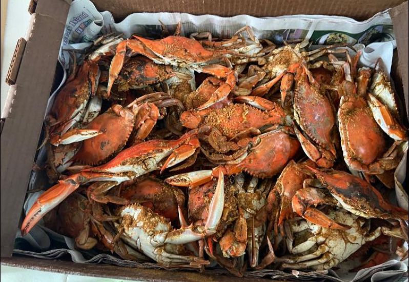 Posts Billy’s Seafood Outer Banks, NC