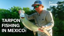 Tarpon Fishing Mexico!